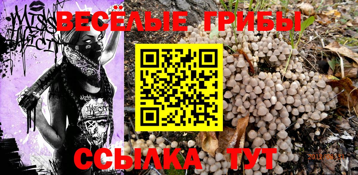 Псилоцибиновые грибы Psilocybine cubensis  цены наркотик  Углич  Вход с VPN 
